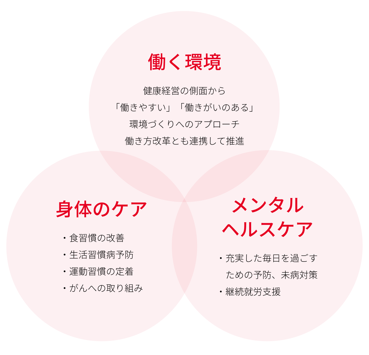 〈働く環境〉健康経営の側面から「働きやすい」「働きがいのある」環境づくりへのアプローチ、働き方改革とも連携して推進。 〈身体のケア〉食習慣の改善。生活習慣病予防。運動習慣の定着。がんへの取り組み。 〈メンタルヘルスケア〉充実した毎日を過ごすための予防、未病対策。継続就労支援。