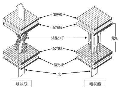液晶パネルの原理